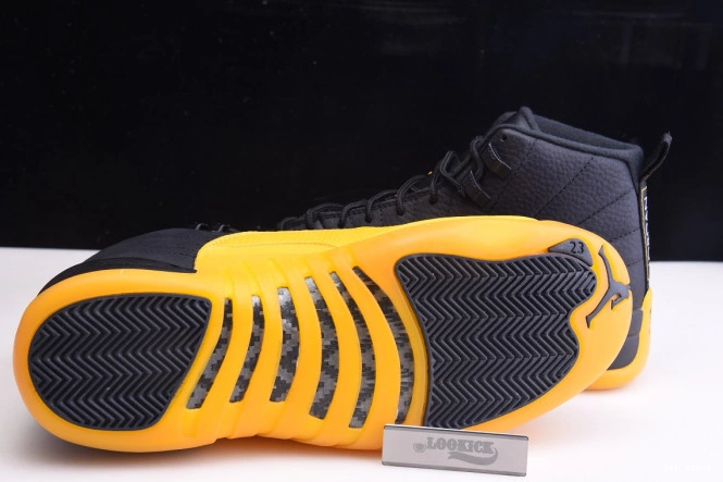 Air University 130690-070 Gold Jordan 12 Black Retro 0724